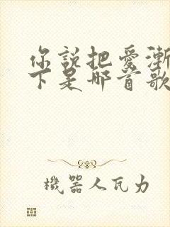 你说把爱渐渐放下是哪首歌的歌词