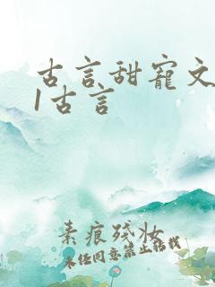 古言甜宠文1v1古言