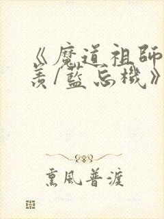 《魔道祖师魏无羡/蓝忘机》