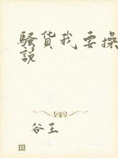 骚货我要操你小说