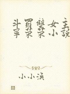 斗罗双女主cp宁荣荣小说推荐