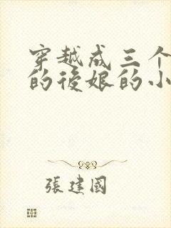 穿越成三个反派的后娘的小说