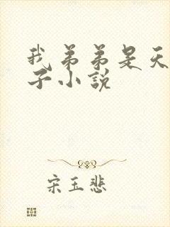 我弟弟是天选之子小说