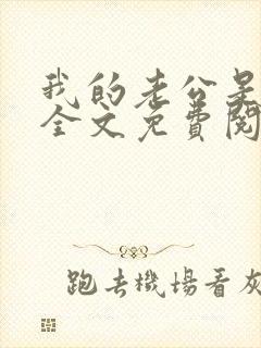 我的老公是大佬全文免费阅读