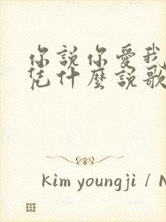 你说你爱我爱我凭什么说歌词