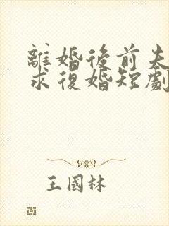 离婚后前夫哭着求复婚短剧免费版观看