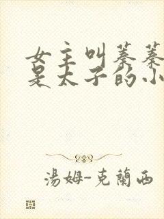 女主叫蓁蓁男主是太子的小说