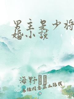 男主是少将的军婚小说