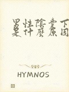 男性阴囊下面痒是什么原因