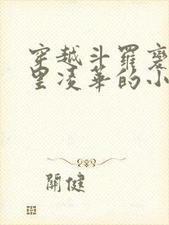 穿越斗罗变成神里凌华的小说