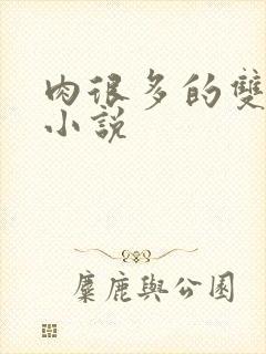 肉很多的双男主小说