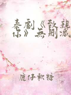 泰剧《致亲爱的你》无删减