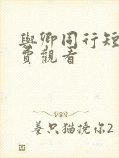 与卿同行短剧免费观看