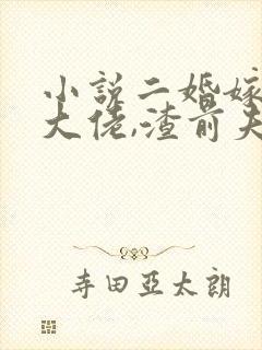 小说二婚嫁豪门大佬,渣前夫失了控