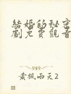 结婚的秘密电视剧免费观看全集