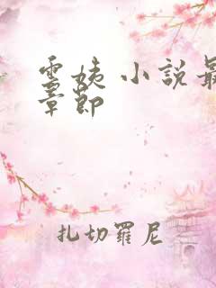 云姨 小说最新章节