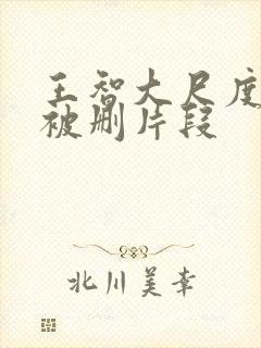 王智大尺度床戏被删片段