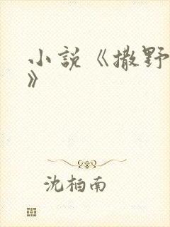 小说《撒野巫哲》