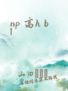 np 高h bl
