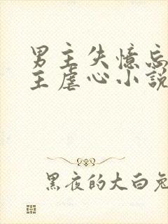 男主失忆忘记女主虐心小说