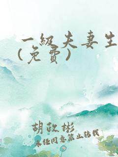 一级夫妻生活片(免费)