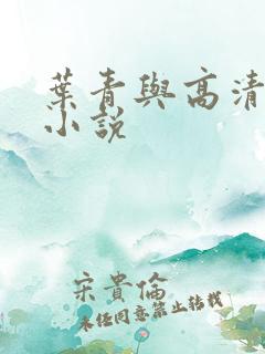 叶青与高清月的小说