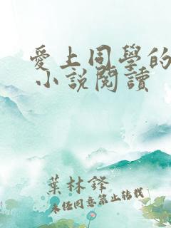 爱上同学的妈妈 小说阅读