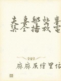 夫妻那些事24集全播放电视剧星辰