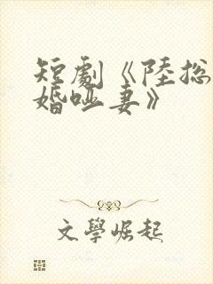 短剧《陆总的新婚哑妻》