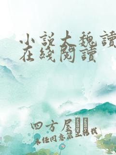 小说大魏读书人在线阅读