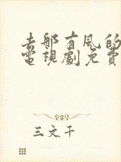 去那有风的地方电视剧免费观看