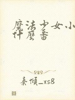 魔法少女小圆是什么番