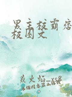 男主校霸痞帅的校园文