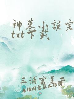 神墓小说完结版txt下载