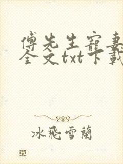 傅先生宠妻无度全文txt下载