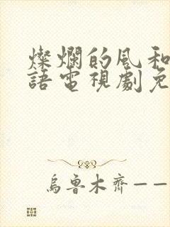 灿烂的风和海粤语电视剧免费观看完整版