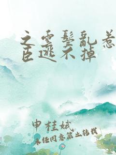 之云鬓乱惹上权臣逃不掉