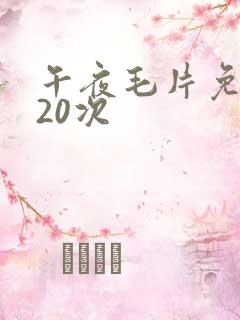 午夜毛片免费看20次