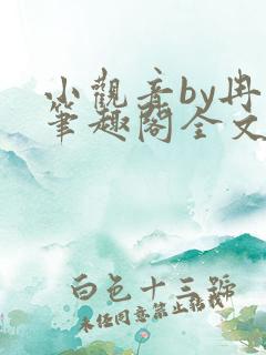 小观音by冉尔笔趣阁全文阅读