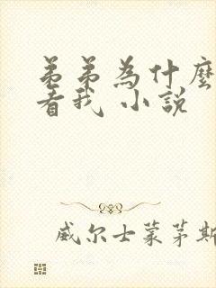 弟弟为什么这样看我 小说