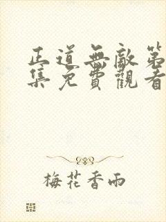 正道无敌第42集免费观看