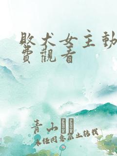 败犬女主动漫免费观看