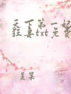 天下第一妃神医狂妻txt免费下载