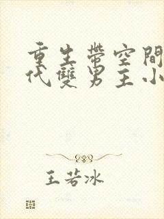 重生带空间的现代双男主小说