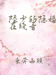 陆少的隐婚罪妻在线看