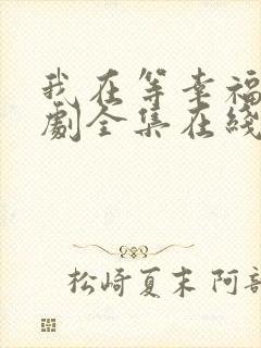 我在等幸福电视剧全集在线播放