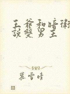 王爷和暗卫的小说双男主