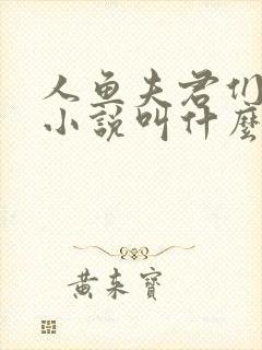 人鱼夫君们原著小说叫什么名字