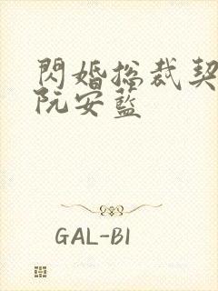 闪婚总裁契约妻阮安蓝