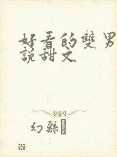 好看的双男主小说甜文